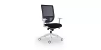 T Max 4