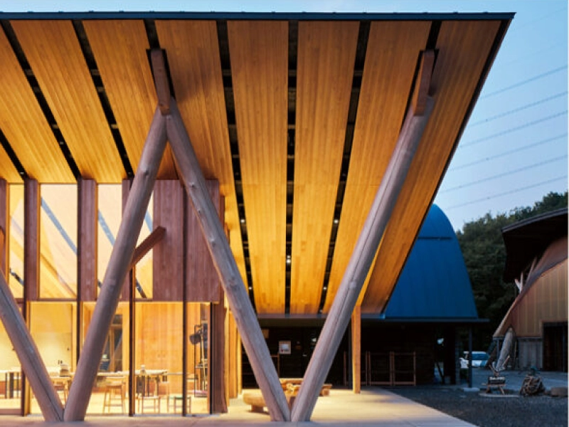 A FORESTRY SCHOOL IN JAPAN