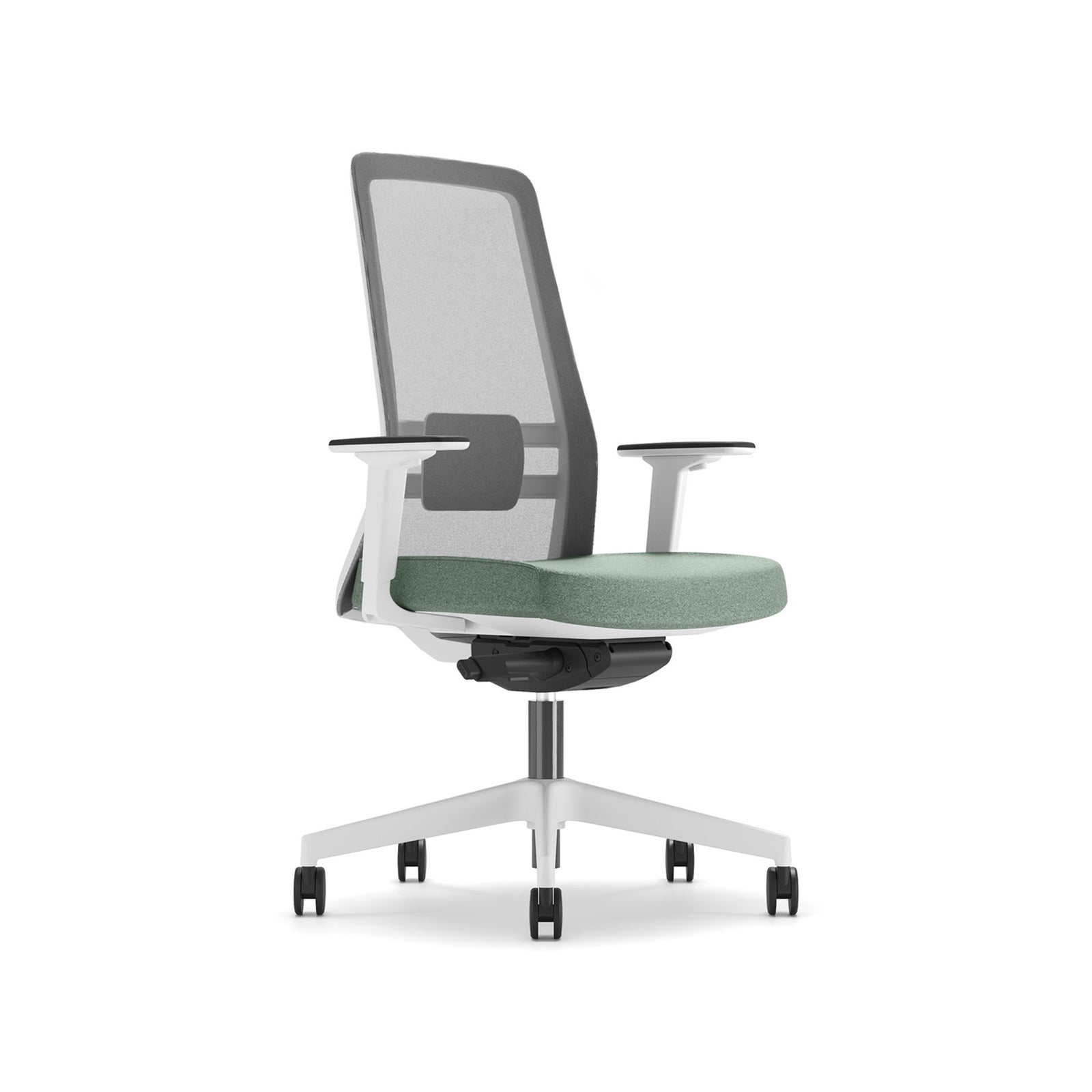 RAYMOND 260