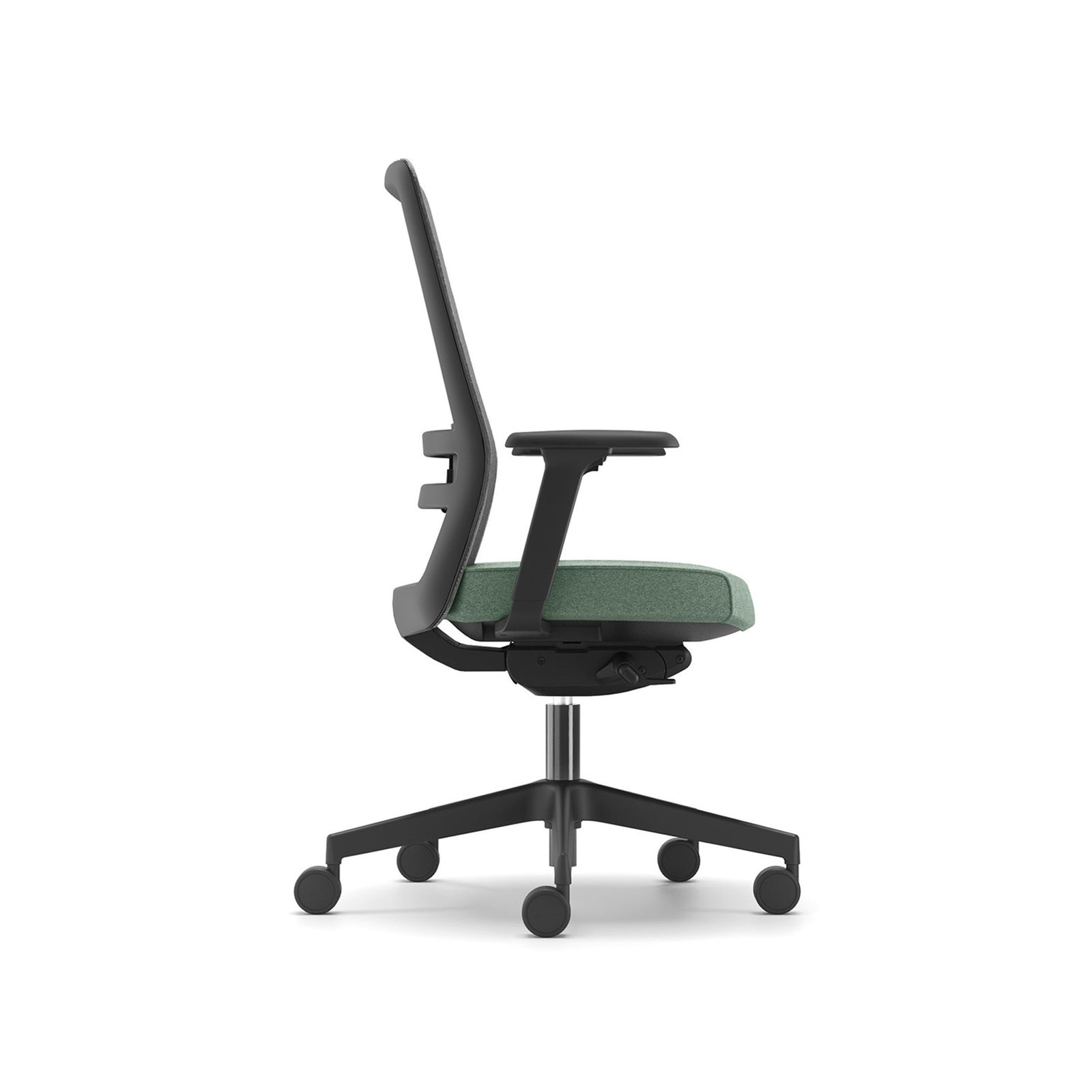 RAYMOND 260